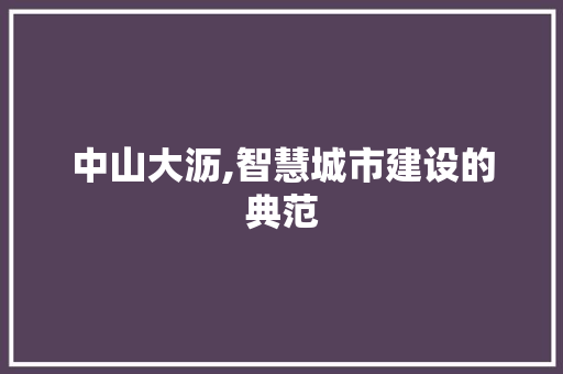 中山大沥,智慧城市建设的典范