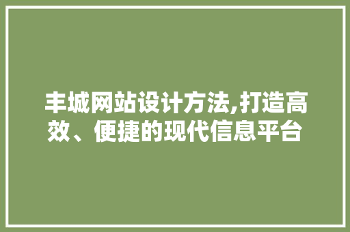 丰城网站设计方法,打造高效、便捷的现代信息平台