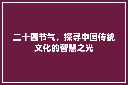 二十四节气，探寻中国传统文化的智慧之光