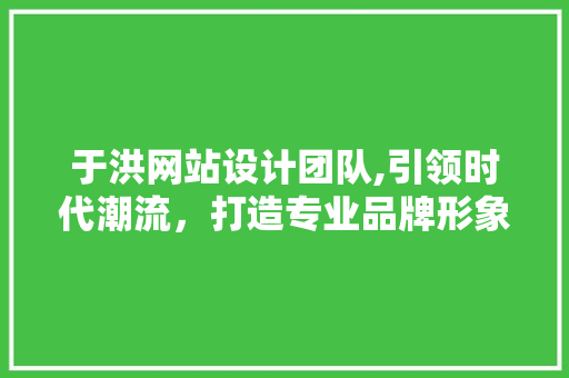 于洪网站设计团队,引领时代潮流，打造专业品牌形象