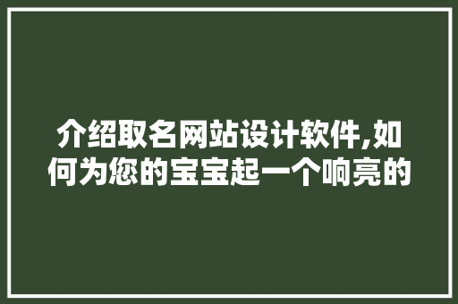 介绍取名网站设计软件,如何为您的宝宝起一个响亮的名字