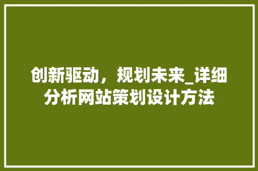 创新驱动，规划未来_详细分析网站策划设计方法