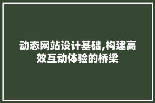 动态网站设计基础,构建高效互动体验的桥梁