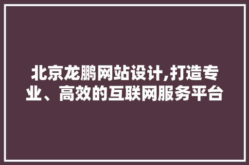 北京龙鹏网站设计,打造专业、高效的互联网服务平台