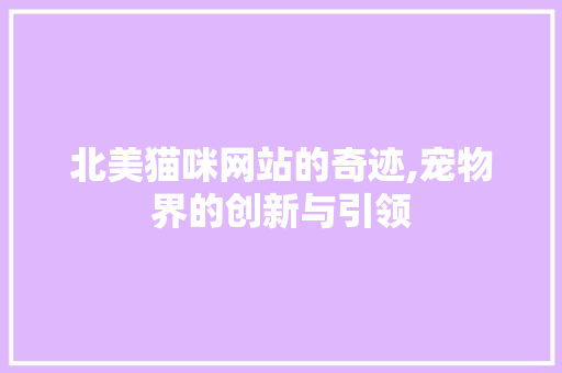 北美猫咪网站的奇迹,宠物界的创新与引领