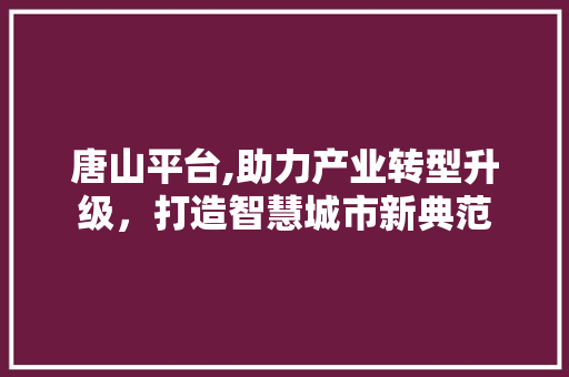 唐山平台,助力产业转型升级，打造智慧城市新典范