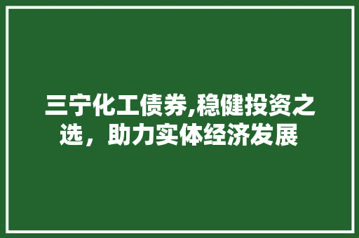 三宁化工债券,稳健投资之选，助力实体经济发展