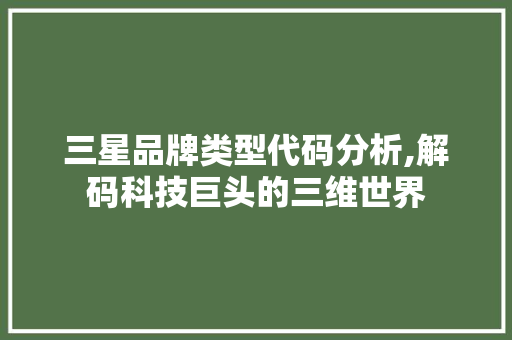 三星品牌类型代码分析,解码科技巨头的三维世界