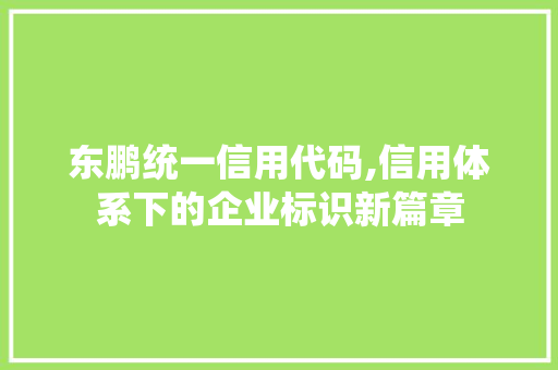 东鹏统一信用代码,信用体系下的企业标识新篇章