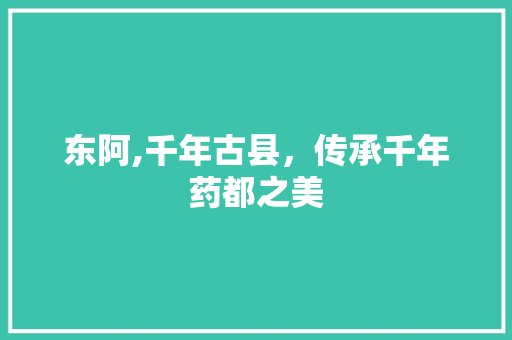 东阿,千年古县，传承千年药都之美