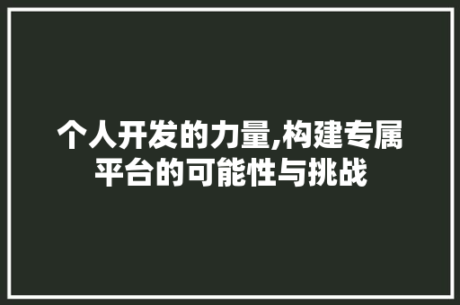 个人开发的力量,构建专属平台的可能性与挑战