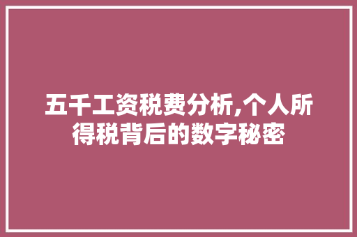 五千工资税费分析,个人所得税背后的数字秘密