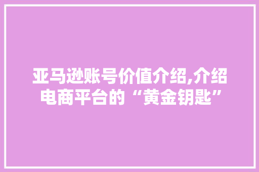 亚马逊账号价值介绍,介绍电商平台的“黄金钥匙”