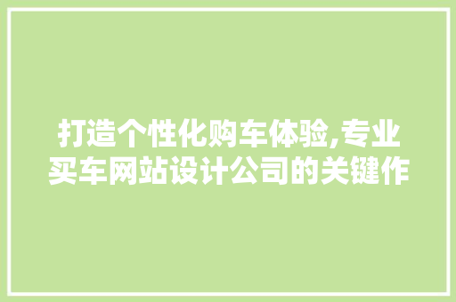 打造个性化购车体验,专业买车网站设计公司的关键作用