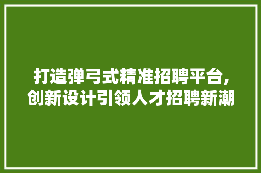 打造弹弓式精准招聘平台,创新设计引领人才招聘新潮流