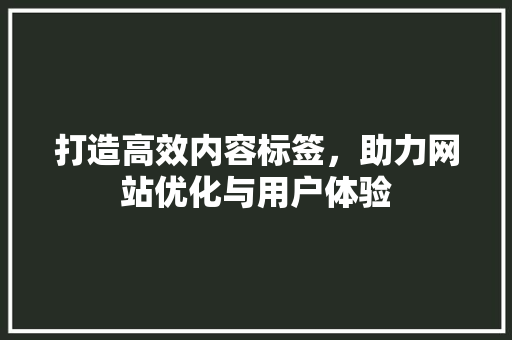 打造高效内容标签，助力网站优化与用户体验