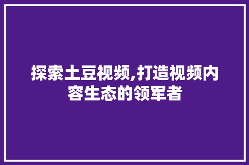 探索土豆视频,打造视频内容生态的领军者