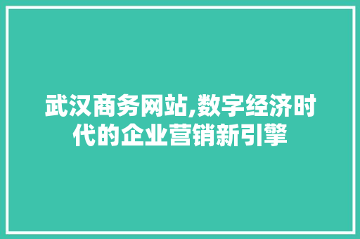 武汉商务网站,数字经济时代的企业营销新引擎