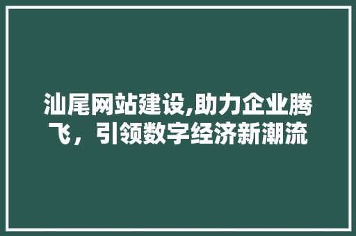 汕尾网站建设,助力企业腾飞，引领数字经济新潮流