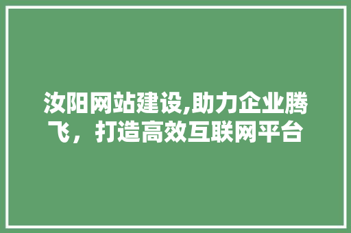 汝阳网站建设,助力企业腾飞，打造高效互联网平台