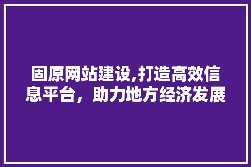 固原网站建设,打造高效信息平台，助力地方经济发展