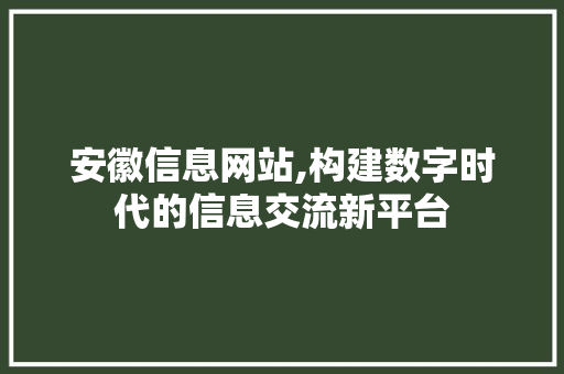 安徽信息网站,构建数字时代的信息交流新平台