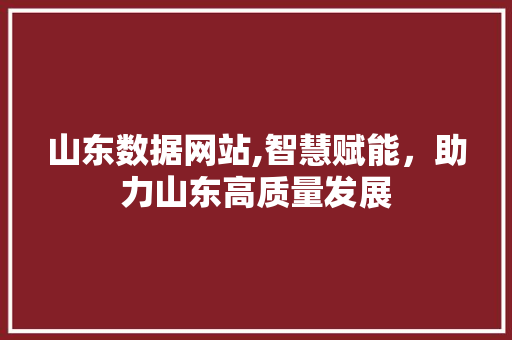 山东数据网站,智慧赋能，助力山东高质量发展