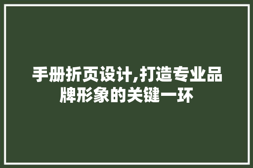 手册折页设计,打造专业品牌形象的关键一环