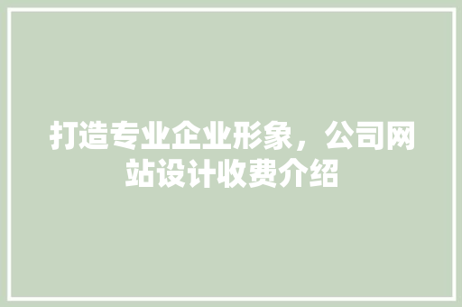 打造专业企业形象，公司网站设计收费介绍