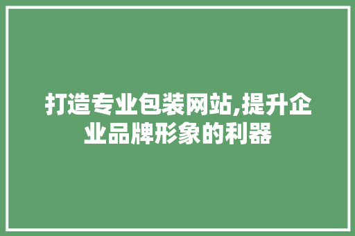 打造专业包装网站,提升企业品牌形象的利器