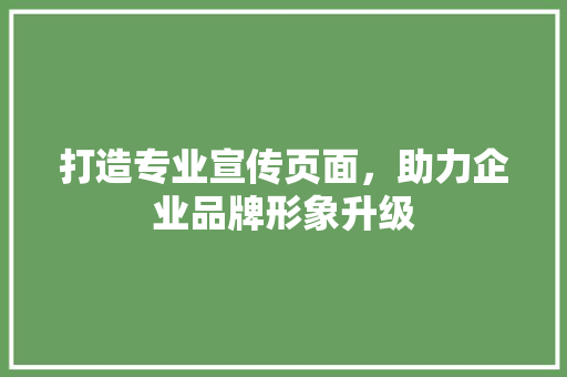 打造专业宣传页面，助力企业品牌形象升级