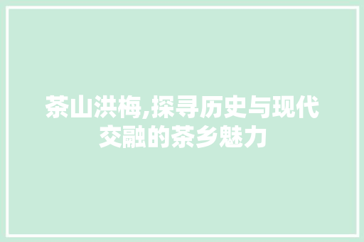 茶山洪梅,探寻历史与现代交融的茶乡魅力