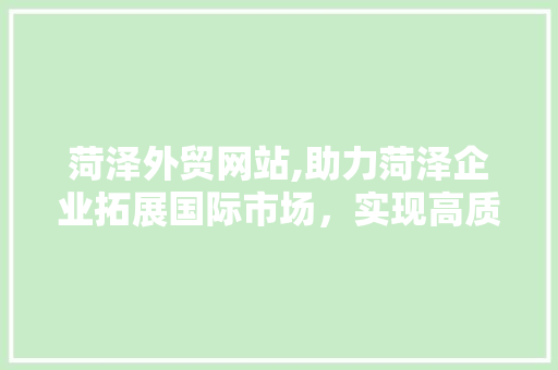 菏泽外贸网站,助力菏泽企业拓展国际市场，实现高质量发展