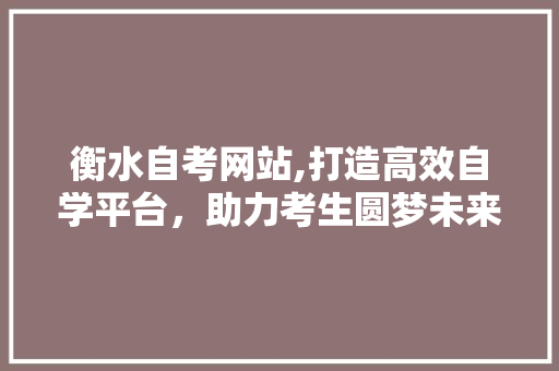 衡水自考网站,打造高效自学平台，助力考生圆梦未来