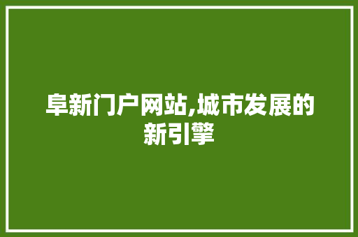 阜新门户网站,城市发展的新引擎