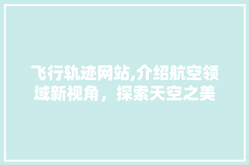 飞行轨迹网站,介绍航空领域新视角，探索天空之美