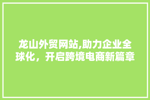 龙山外贸网站,助力企业全球化，开启跨境电商新篇章