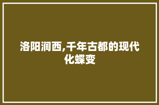 洛阳涧西,千年古都的现代化蝶变