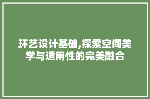 环艺设计基础,探索空间美学与适用性的完美融合