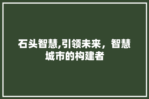 石头智慧,引领未来，智慧城市的构建者