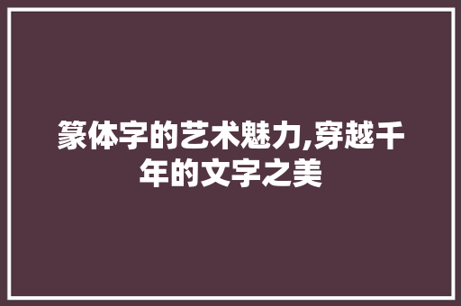 篆体字的艺术魅力,穿越千年的文字之美