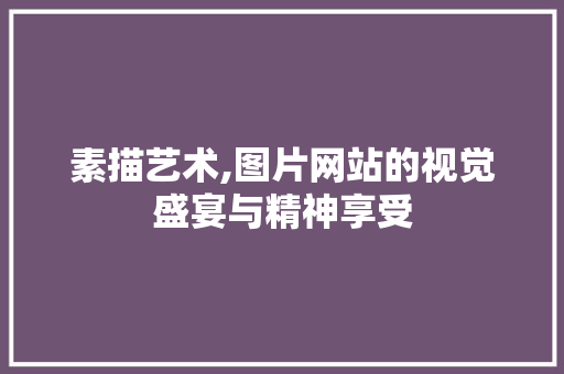 素描艺术,图片网站的视觉盛宴与精神享受