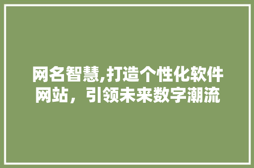 网名智慧,打造个性化软件网站，引领未来数字潮流