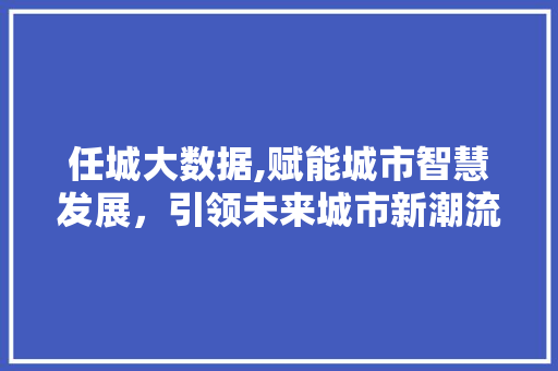 任城大数据,赋能城市智慧发展，引领未来城市新潮流