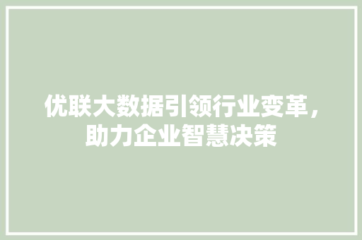 优联大数据引领行业变革，助力企业智慧决策