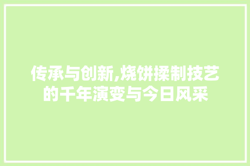 传承与创新,烧饼揉制技艺的千年演变与今日风采