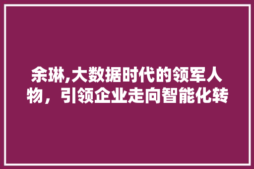 余琳,大数据时代的领军人物，引领企业走向智能化转型