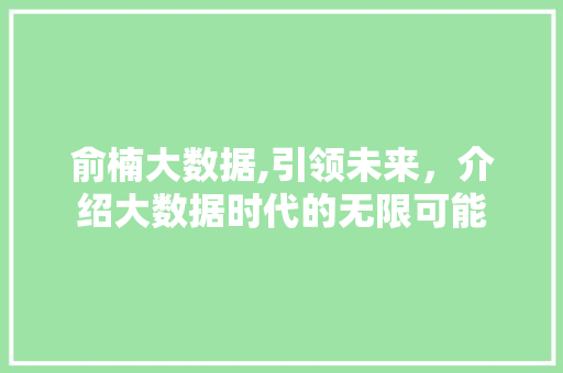 俞楠大数据,引领未来，介绍大数据时代的无限可能