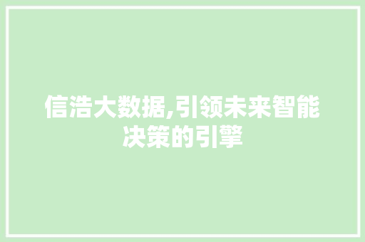 信浩大数据,引领未来智能决策的引擎