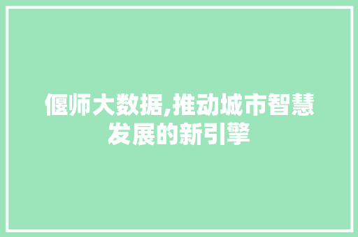 偃师大数据,推动城市智慧发展的新引擎